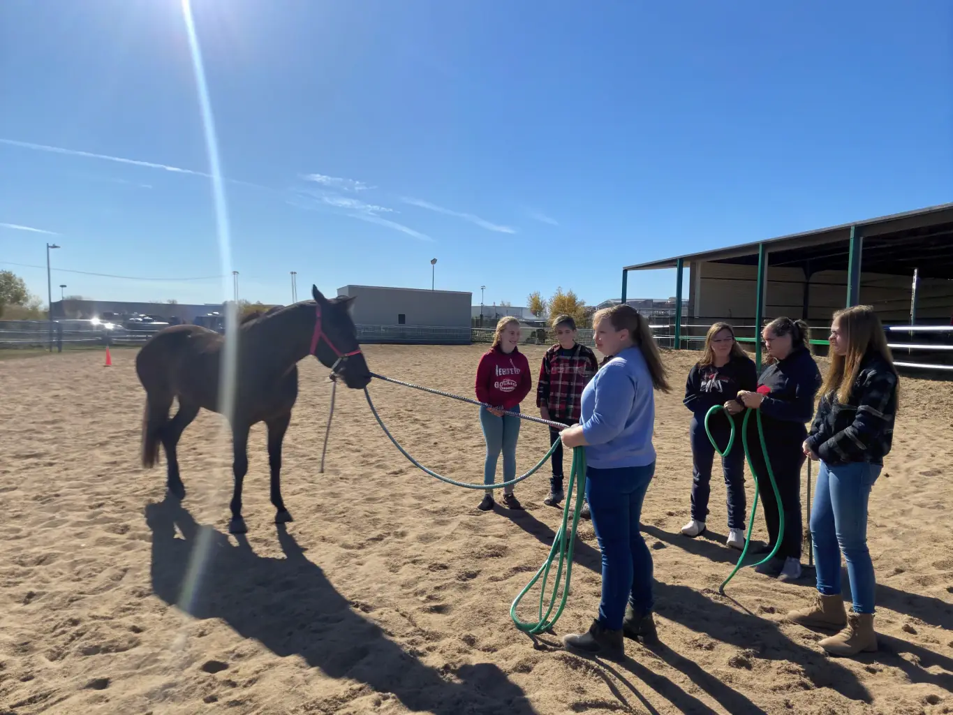 Participants engaging in a natural horsemanship workshop at LES CHEVAUX DU LAC, emphasizing environmental conservation and a deeper connection with horses.